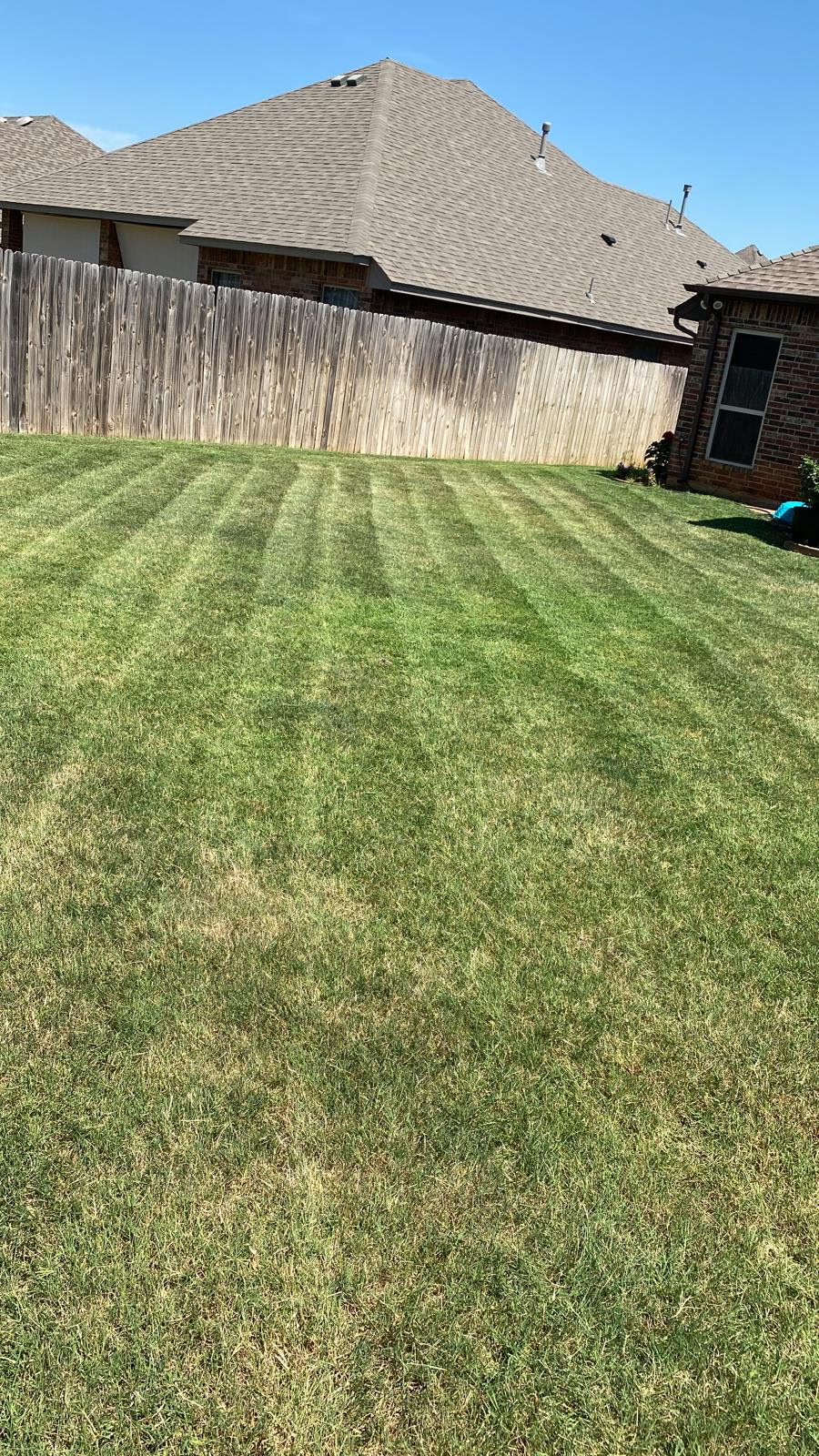 Freshly mowed backyard lawn