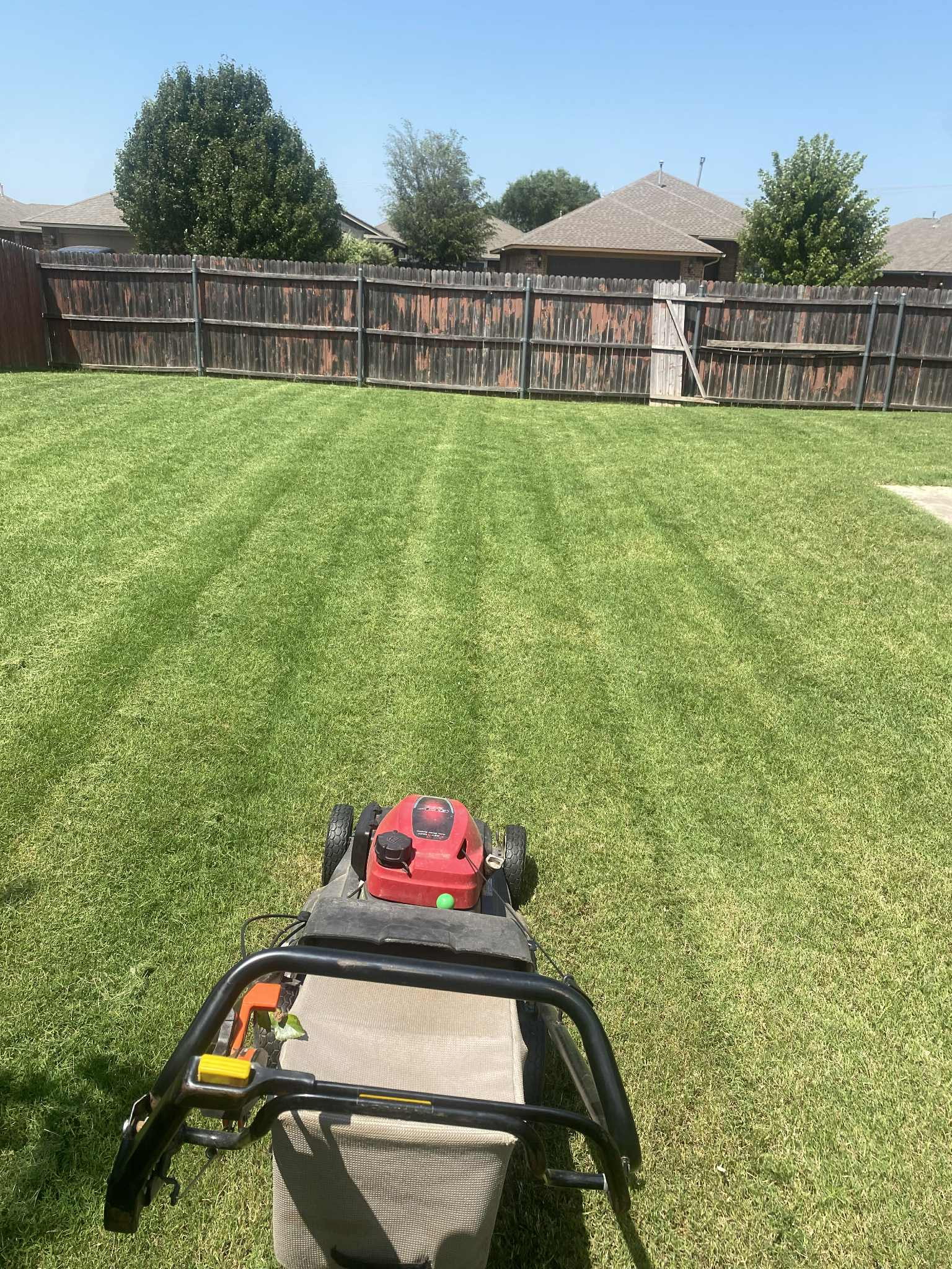 Maintained outdoor patio and surrounding yard