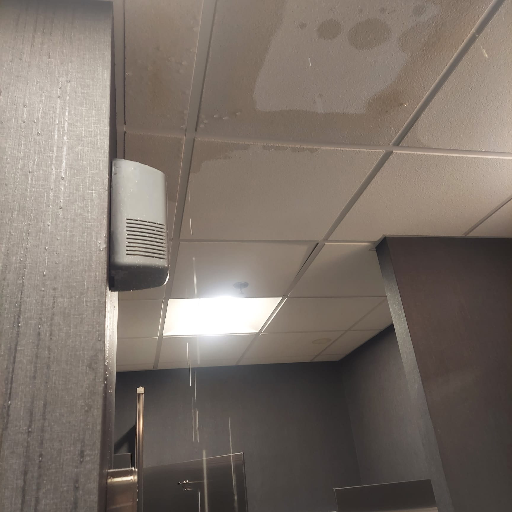 Water ceiling issue
